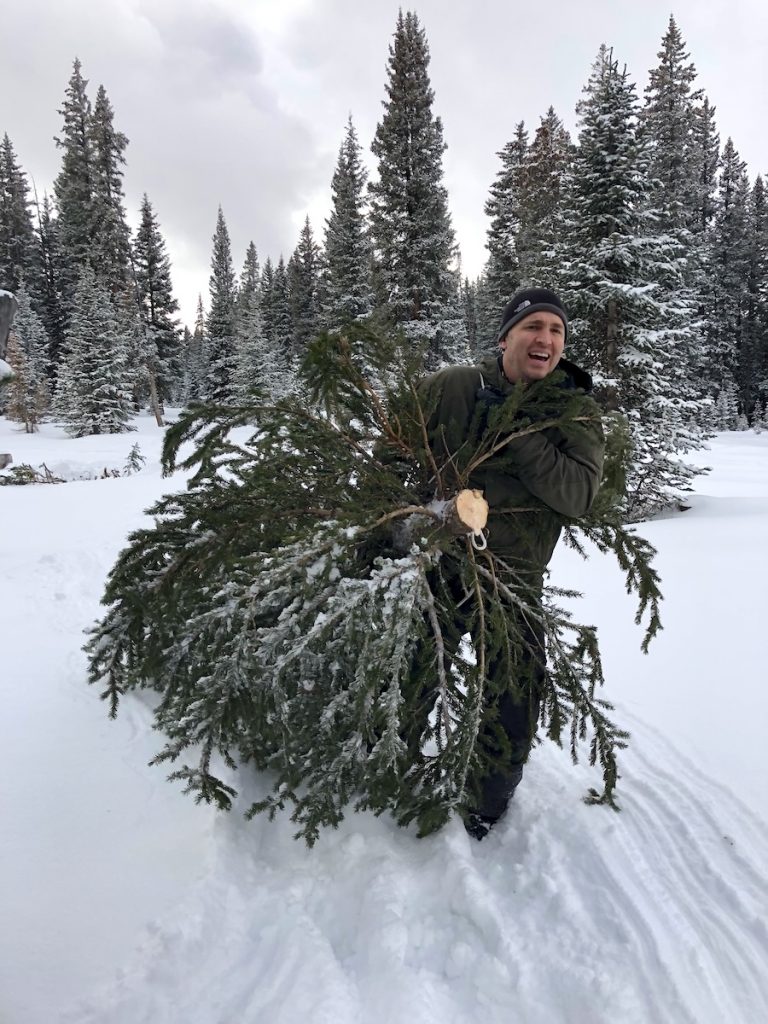 Christmas Tree Cutting on the Grand Mesa