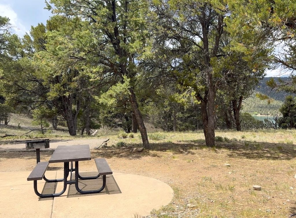 Ridgway State Park Site 82